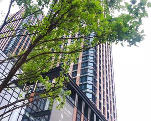 中国华商金融中心 2室1厅 南 北