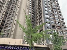 卓锦万黛 2室2厅 东