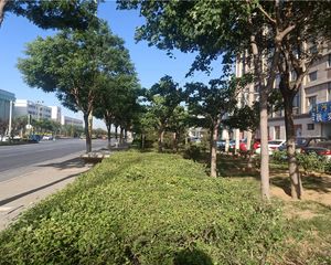 sheng地秋实南北向精装修近轻轨