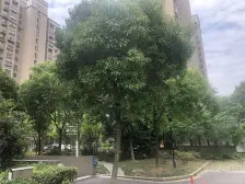 户型方正,有钥匙看房随时,楼层佳,视野好!