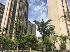 满二无大税 全天采光 全景运河 有车位