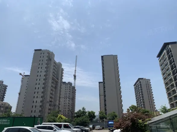 御澜府