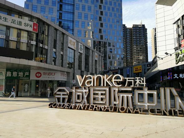 住总万科金域国际