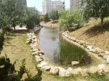 南向近轻轨一室一厅给10平装修好的拎包住环境好