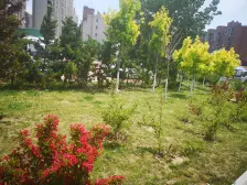 南北通厅,电梯洋房,采光好,视野开阔,有阳台