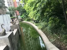 双碑 汇景雅居 精装两房 户型方正 交通方便