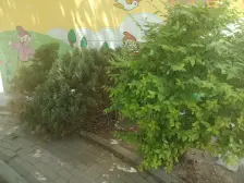 鑫海阳光 东山路轻轨站旁 117 视野好 采光好