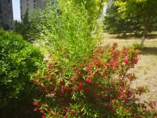 新港壹号三室南北通厅,户型好,在轻轨站旁边,