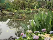 质小区已拿房 品庭院美景尽收,采光足环境优诚意出售