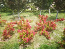 地铁首站 新港繁华地段 精装修两室通厅 全明户型