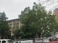 劳动公园西门儿童医院旁边,70年产权,精装修电梯房