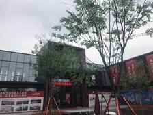 美的花湾城户型方正,采光好装修好,环镜优美视野好,诚心出售