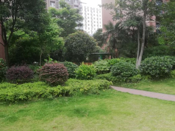 名流仕家