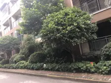 一线江景房 低楼层 业主安心出手 背靠平顶山公园