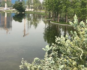 中建天府公馆4室2厅南