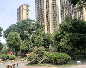 高区采光好!楼栋好!比较安静!配套成熟
