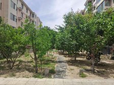 标准户型,格局好,全天采光,南北通透,小区环境好