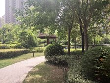 蓝湾新城精装大两室,采光好,拎包住