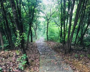 兰印府3室3厅东南