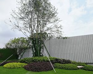 金科·集美御峰南地块3室2厅南