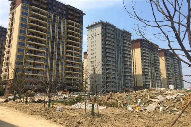 碧桂园·海湾1号