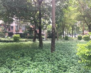 环湖小+惠景中,南向两房,装修保养好