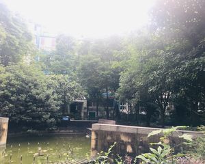 新兴嘉园4室2厅东南