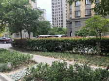 交通方便,近顾村公园,龙湖天街