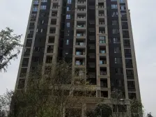 【看起 可谈价】小高层 正规1房 户型方正 采光好