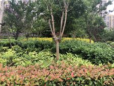 双电梯中间楼层3房南北户型精装拎包入住