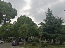 一年出一套,18号线沈梅路站800米,南北通双卫三房