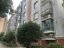 树园新苑3室1厅南北