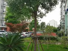 业主诚意出售,紧邻东南菜场,生活交通便利,学校进才,看房随时