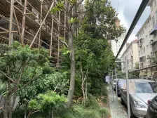 正对苏州河景观房,小区美丽家园整改好,双南两房