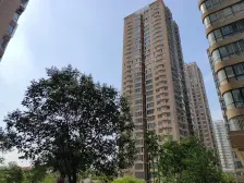 !单价5000起!中原万达!精装大三房!双卫!送车位