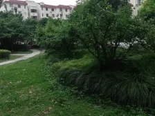 希有户型!带天井采光不挡,双轨交汇,医疗商圈成熟