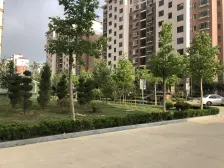 中间楼层,采光好,位置很好,难得的好房