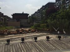 小洋房,户型佳,大宽阳台,好楼层全天采光