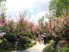 恒大御景花园。毛坯大3房。高楼层视野开阔
