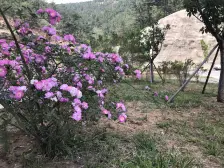 精装未住,20万装修,高楼层,采光视野很好。