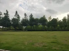 两房朝南,精装修,诚意出售,采光充足