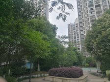 嘉定外冈,电梯房,总价低,南向,一室一厅。