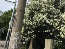 此房满五年 采光好 价格可谈 一梯两户 全明