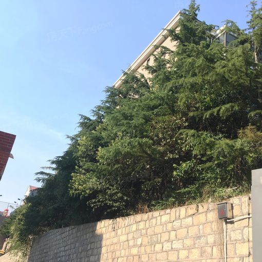 林溪花园住宅3室2厅1卫南北朝向3000.00元/月出租