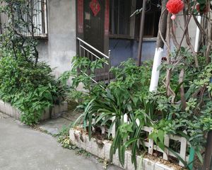 小天东巷21号3室1厅南