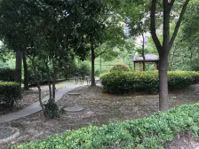 龙湖天街商场/地铁500米/小区中间位置/南北通三房