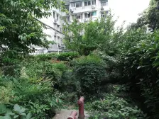 满五年税费少,朝向好,楼层好,采光充足,配套设施齐