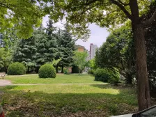 不靠路 采光充足 双南带壁橱户型 诚意出售 价格可谈