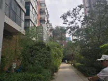 伏牛路淮河路5 6号线口人车分流标准一室一厅