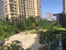 大成门 2室1厅 南